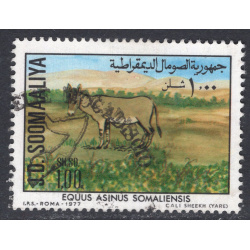 SOMALIA SCOTT 446