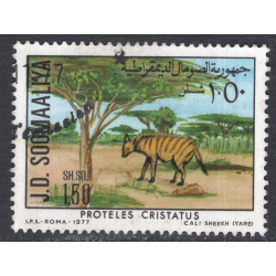 SOMALIA SCOTT 447