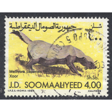 SOMALIA SCOTT 543