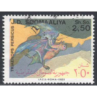SOMALIA SCOTT 557