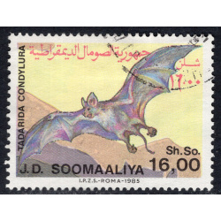 SOMALIA SCOTT 559