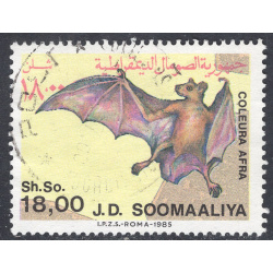 SOMALIA SCOTT 560