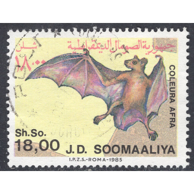SOMALIA SCOTT 560