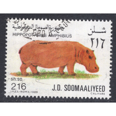 SOMALIA SCOTT 591