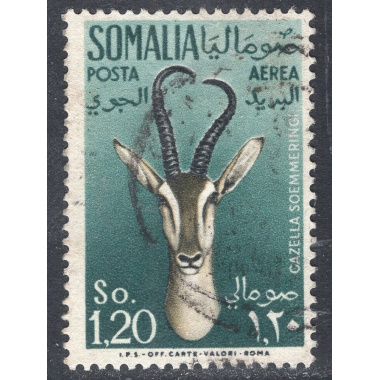 SOMALIA SCOTT C44