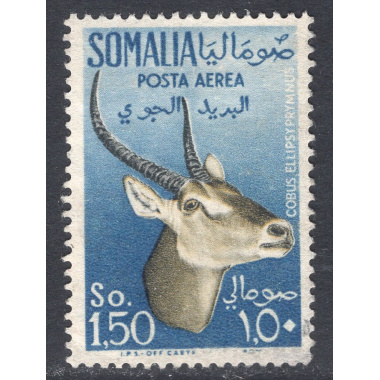 SOMALIA SCOTT C45