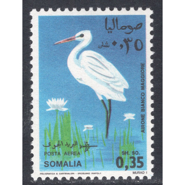 SOMALIA SCOTT C104