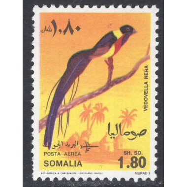 SOMALIA SCOTT C107