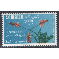 SOMALIA SCOTT E11