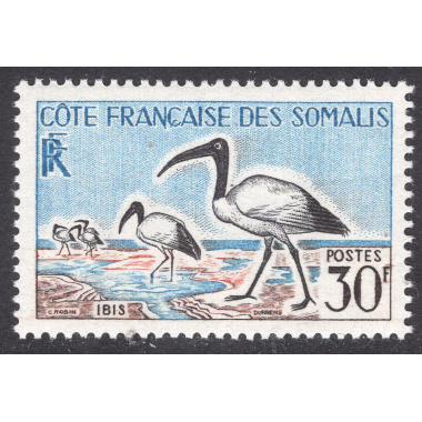 SOMALI COAST SCOTT 285