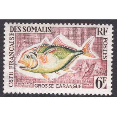 SOMALI COAST SCOTT 289
