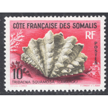 SOMALI COAST SCOTT 294