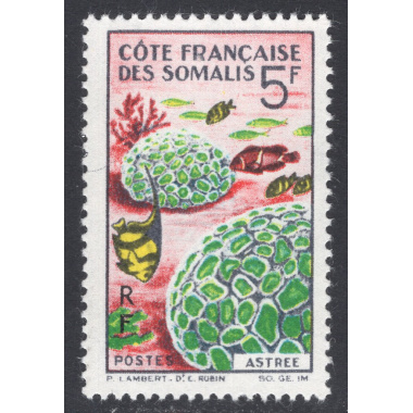 SOMALI COAST SCOTT 298