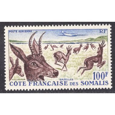 SOMALI COAST SCOTT C21