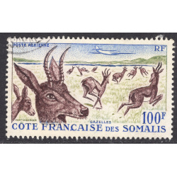 SOMALI COAST SCOTT C21