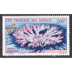 SOMALI COAST SCOTT C30