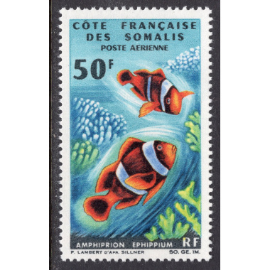 SOMALI COAST SCOTT C45