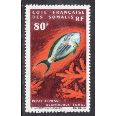 SOMALI COAST SCOTT C47