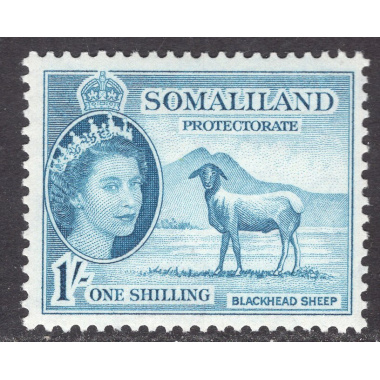 SOMALILAND PROTECTORATE SCOTT 135