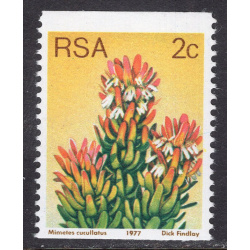 SOUTH AFRICA SCOTT 493