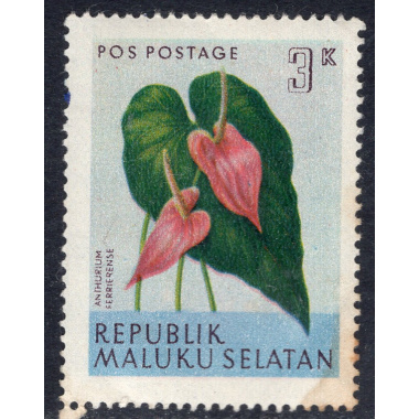 SOUTH MOLUCCAS SCOTT L3
