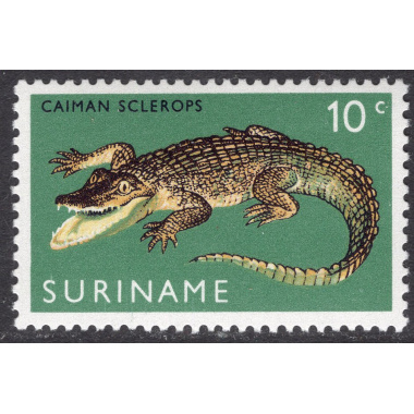 SURINAM SCOTT 362