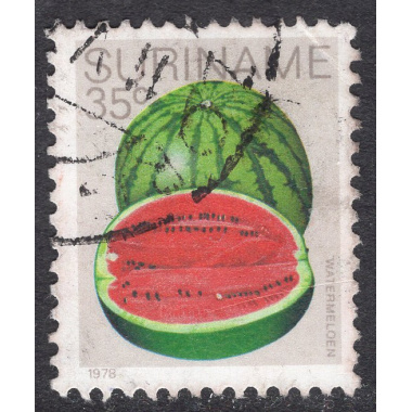 SURINAM SCOTT 515