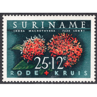 SURINAM SCOTT B89