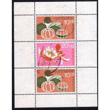 SURINAM SCOTT B213A