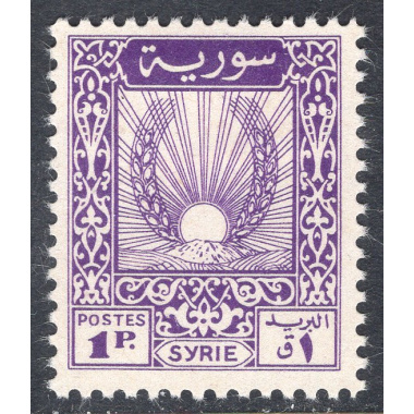 SYRIA SCOTT 316