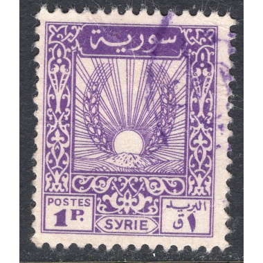 SYRIA SCOTT 316