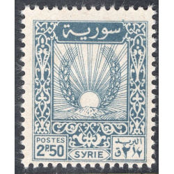 SYRIA SCOTT 317