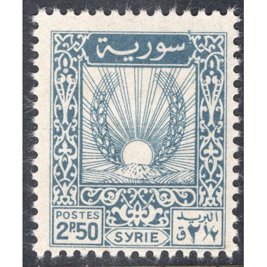 SYRIA SCOTT 317