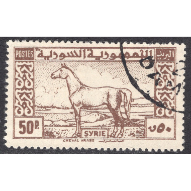 SYRIA SCOTT 325