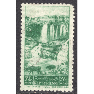 SYRIA SCOTT 376