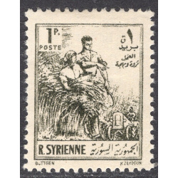 SYRIA SCOTT 378