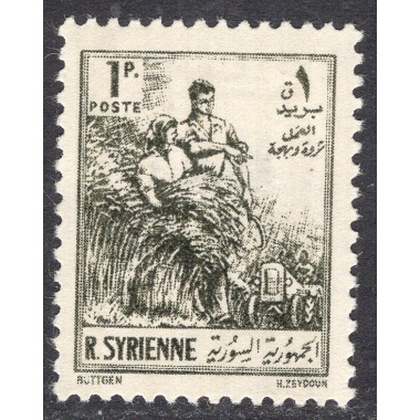 SYRIA SCOTT 378