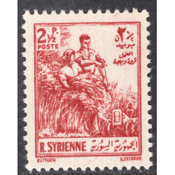 SYRIA SCOTT 379