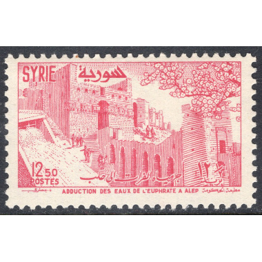SYRIA SCOTT 395