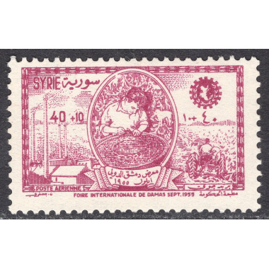 SYRIA SCOTT CB7