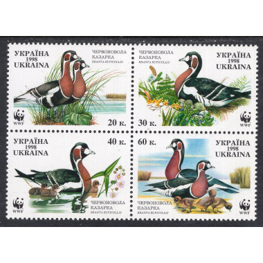 UKRAINE SCOTT 323