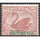 WESTERN AUSTRALIA SCOTT 71