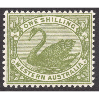 WESTERN AUSTRALIA SCOTT 100