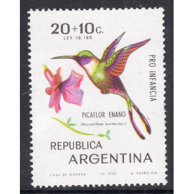 ARGENTINA SCOTT B53